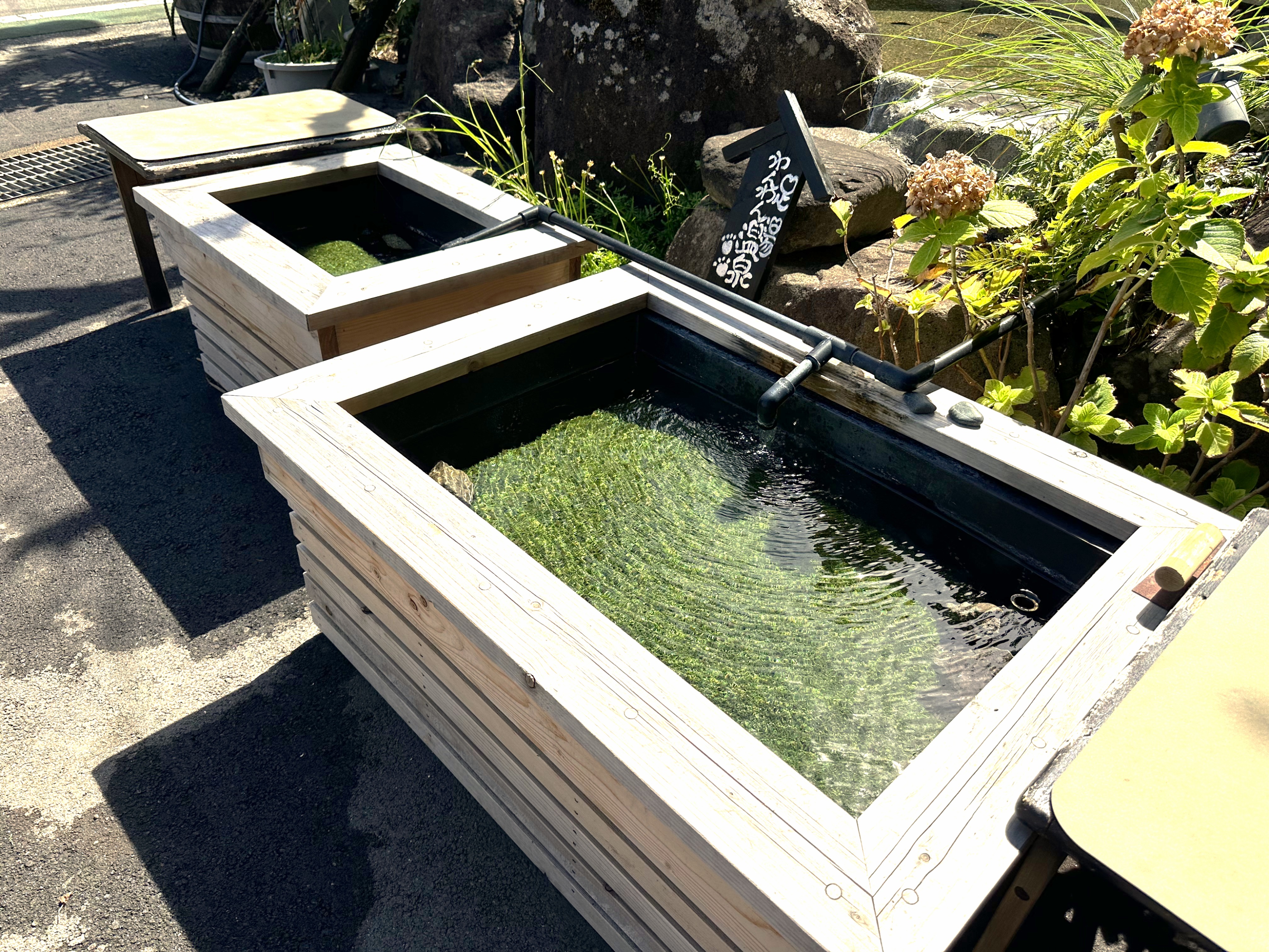 NEWわんわん足湯